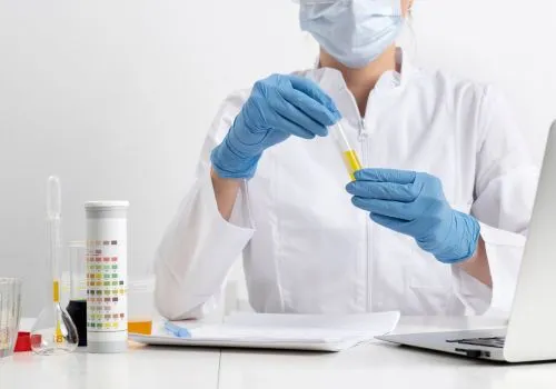 DOT Observed Collection: A Guide for Collectors and Observers