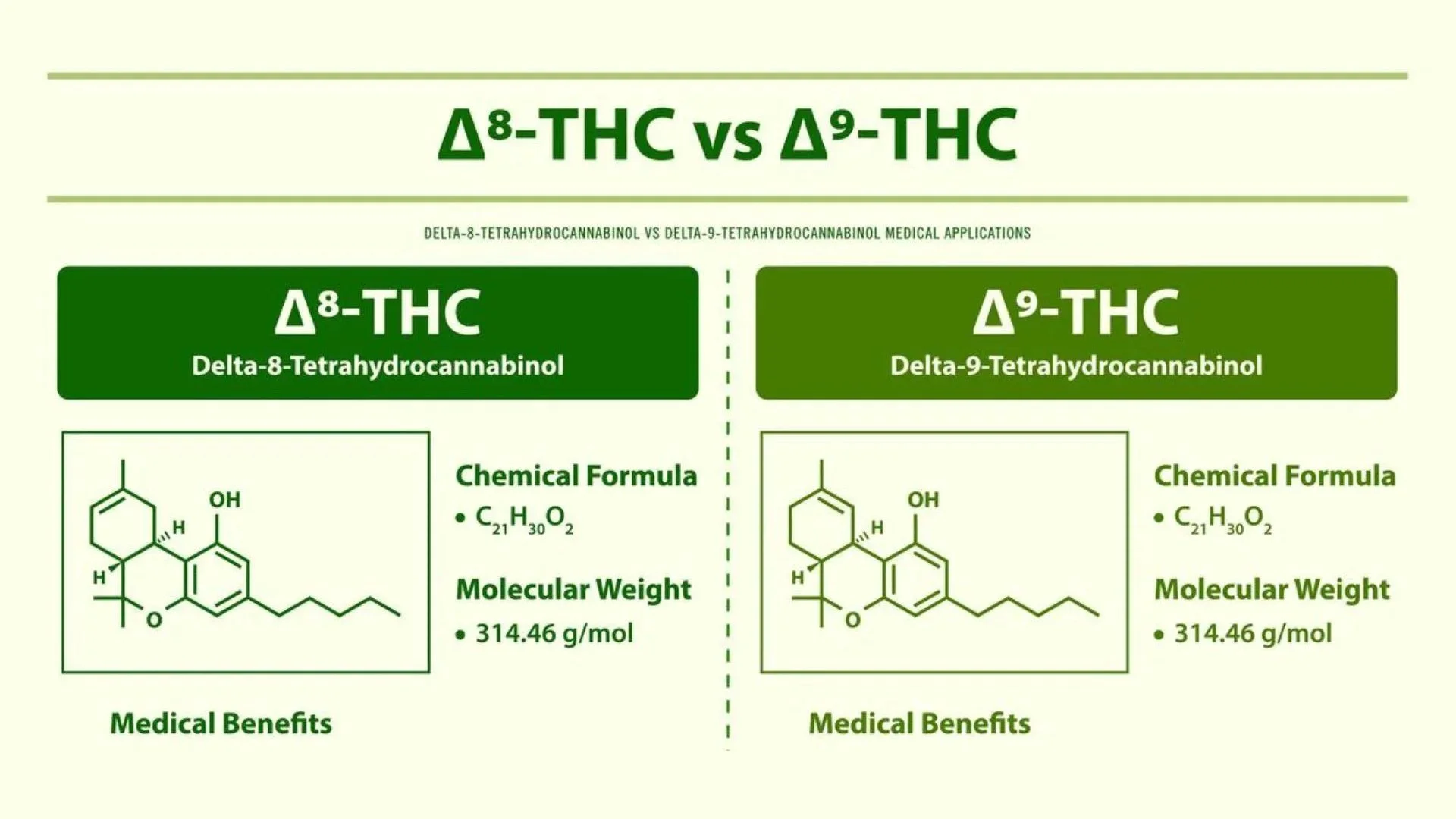 Exploring the Key Differences Delta 8 vs Delta 9