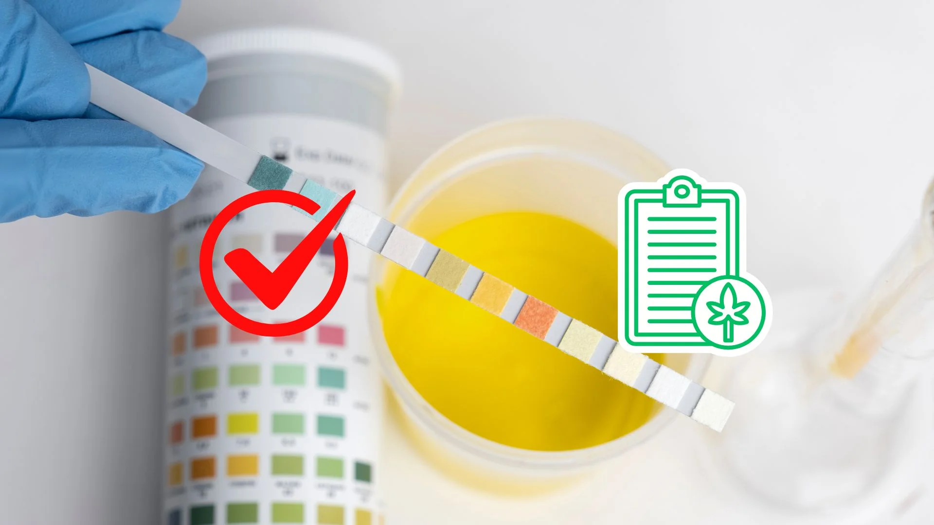Top Reasons for False Positive Drug Test Results