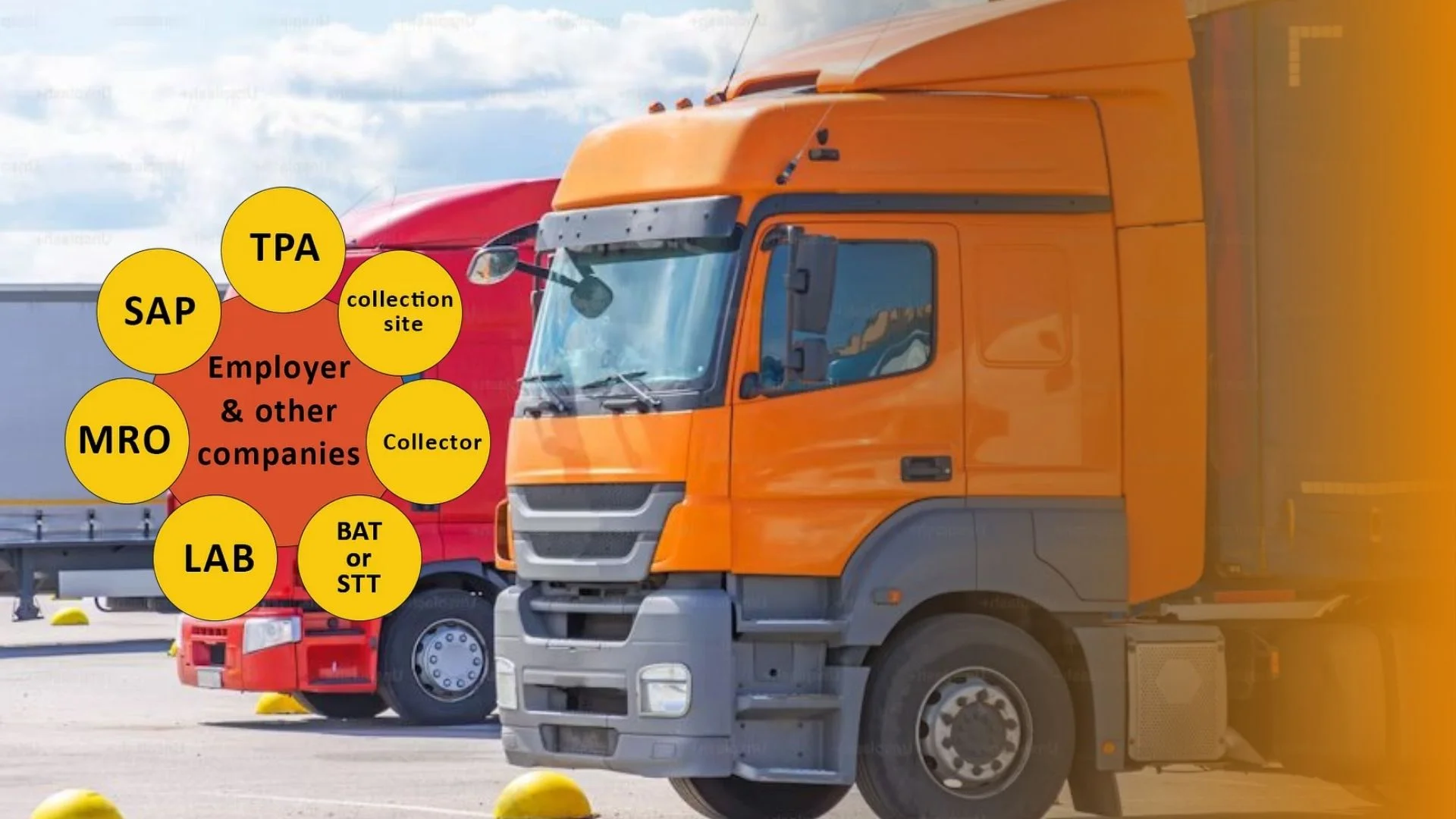 Top Factors Employers Consider When Choosing a C/TPA